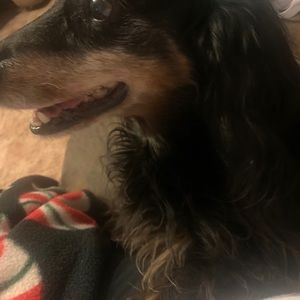 Meet your Posher, Angel